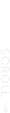 스크롤버튼